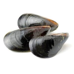 Moules - 1.6 Kg - 2 Personnes